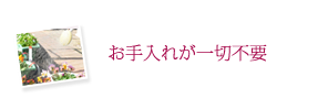 お手入れが一切不要