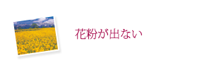 花粉がでない